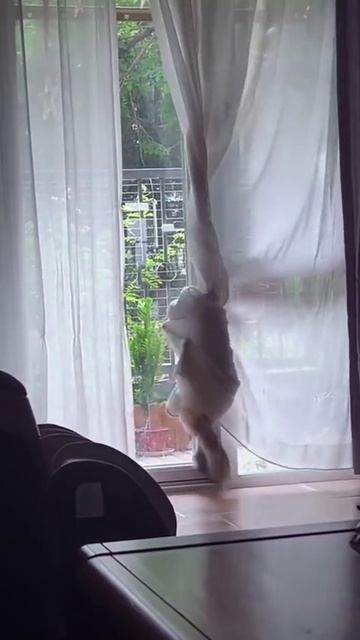 фифти 165
