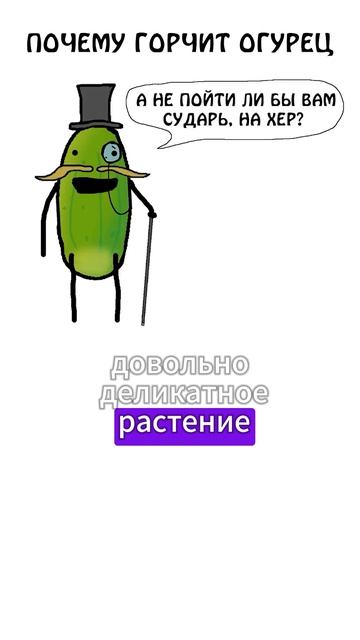 А вы в курсе почему горчит огурец? - Академия Брокколи и Сэма ОНеллы