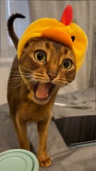 ChatGPT, MidJourney, Claude — начните работать с передовыми инструментами бесплатно.