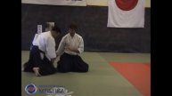 14 Aikido Suwariwaza Shomen Uchi Iriminage Shishiya Sensei, Sundsvall 2004