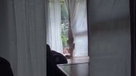Неудачи котиков