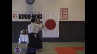 32 Aikido Jo Tai Ken Yokomen Uchi Shihonage, Shishiya Sensei 2003