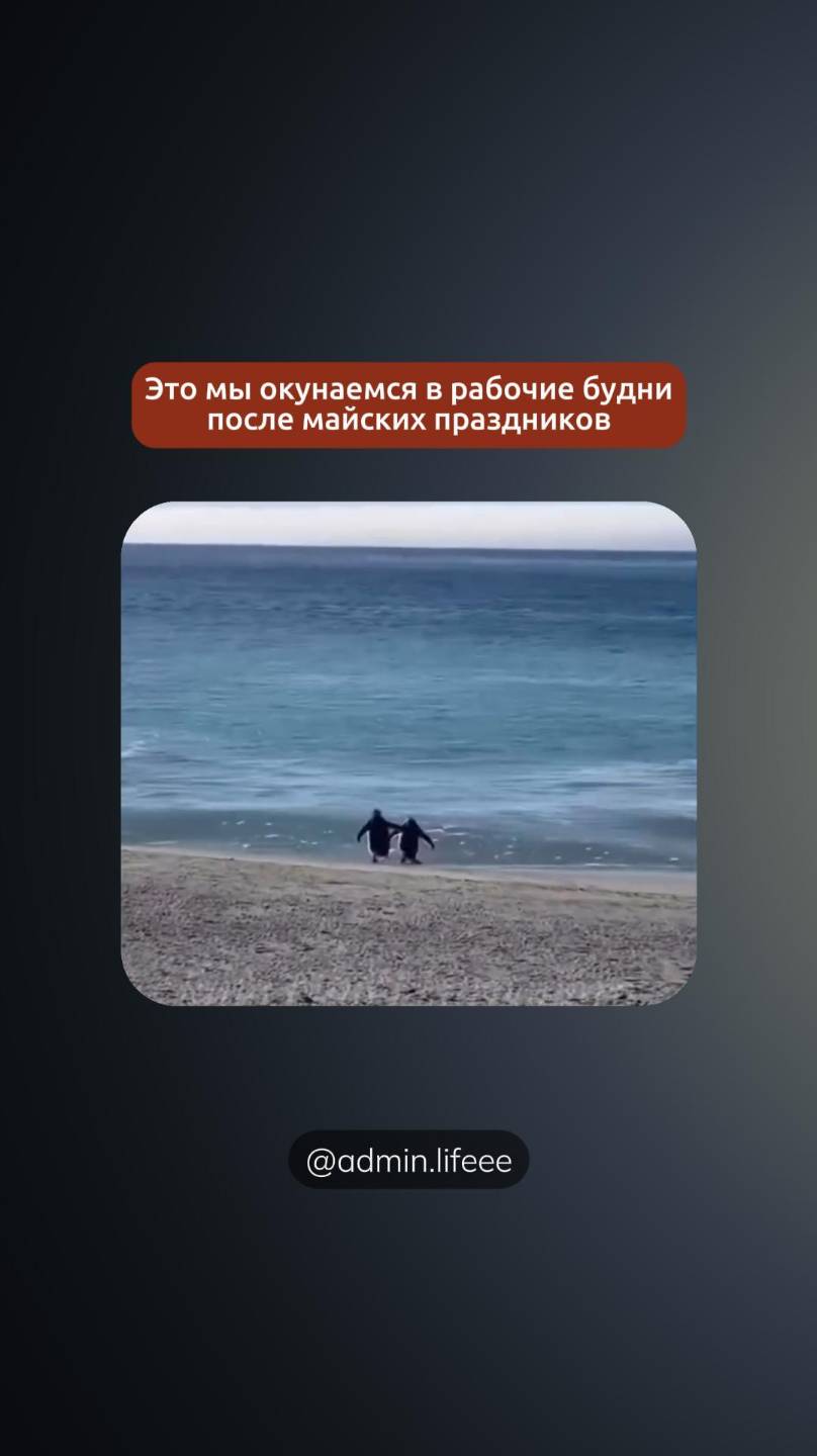 Всем продуктивной недели!