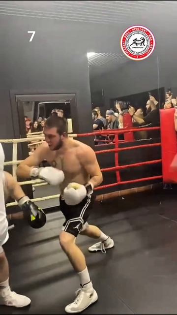 Панда получил нокдаун