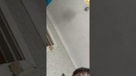 1000005332.mp4