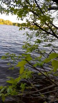 1000042523.mp4Волга 05.05.2025г.
