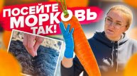 🥕 ВЗОЙДЁТ ЛЮБАЯ МОРКОВЬ! – Секреты посева для гигантского урожая