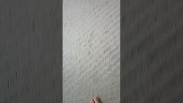 1000057422.mp4