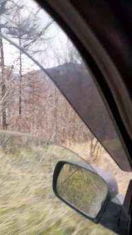 Спуск с перевала Чике-Таман 20250502_122303