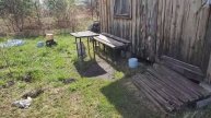 Видео WhatsApp 2025-05-05 в 12.28.01_d7eadc96