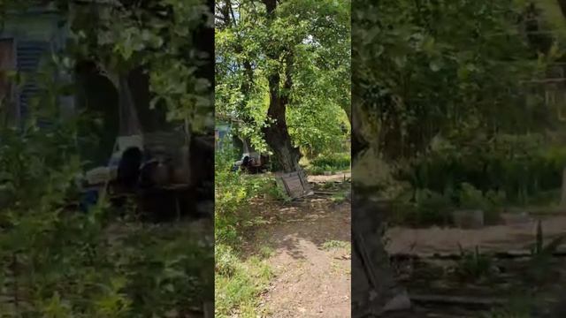 1000127340.mp4