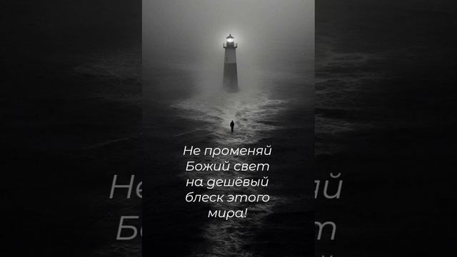 СКАЖИ, НУ ЧТО ТЫ ПРИОБРЁЛ ⁉️