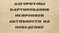 Джеральд Пао | Алгоритмы картирования нейронной активности на поведение