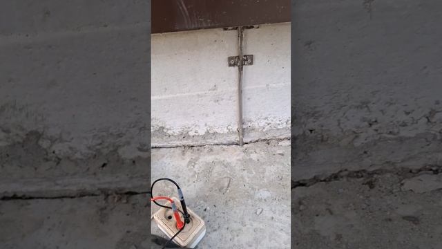 1000023088.mp4 (Собака наблюдает за измерением напряжения для тестирования сопротивления заземления)