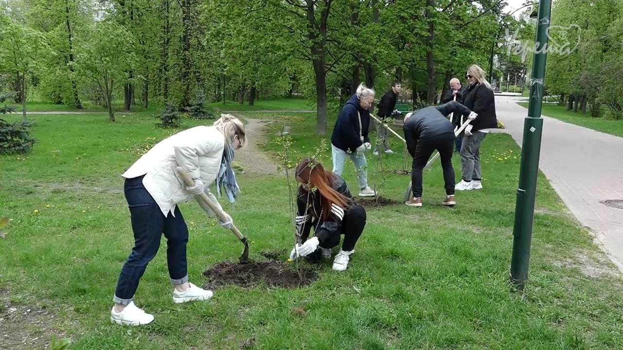 Сад памяти