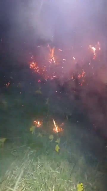 Пожарные и спасатели тушат сильный пожар на склоне горы Бештау