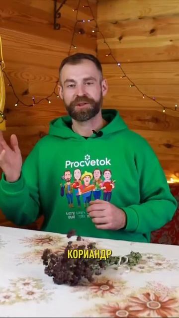 Растения защитники для вашего огорода