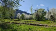 Деревенская прогулка и природа, жизнь и уют в деревне, деревенская весна