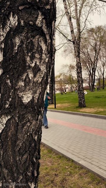 Прогулочка по набережной☀️