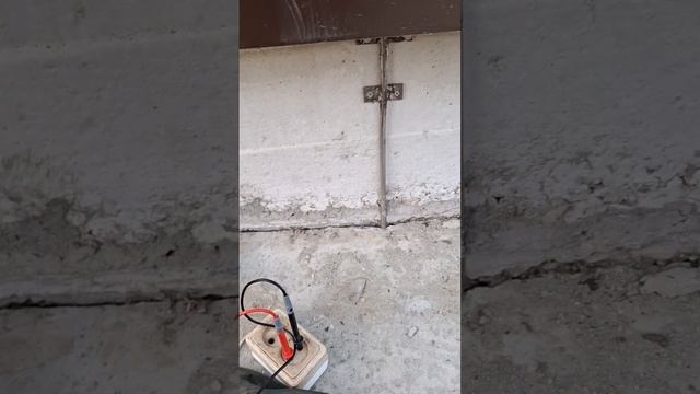 1000023089.mp4 (Собака наблюдает за измерением напряжения для тестирования сопротивления заземления)