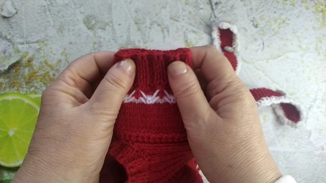 Штаны на собаку красные вязаные