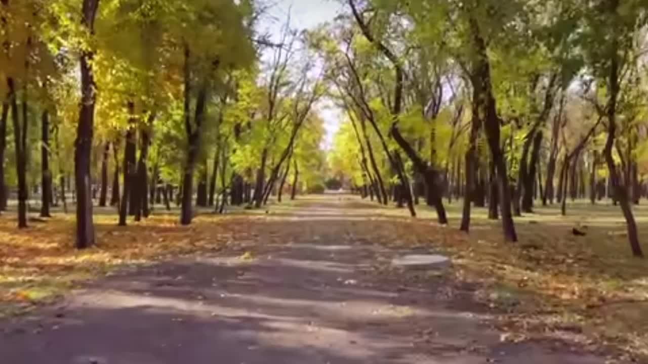 Красивая музыка пианино расслабляющая Успокаивающее видео релакс Мелодия души, сна и отдыха