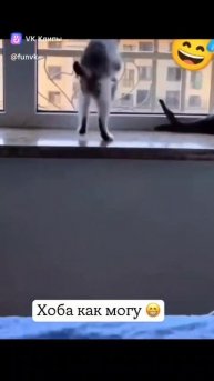 Оба как я могу.Репост.