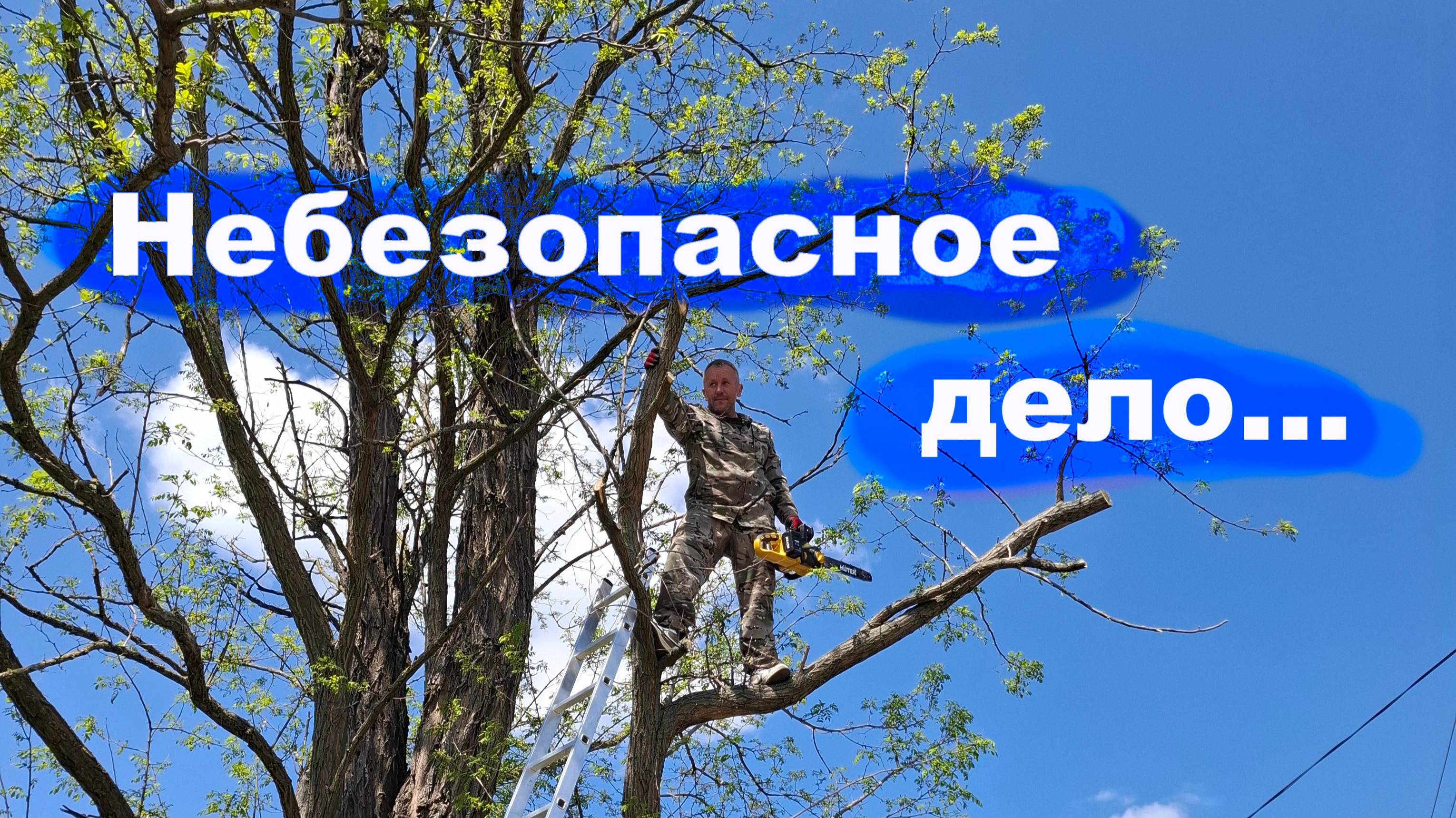 #255 Валим деревья на второй усадьбе...