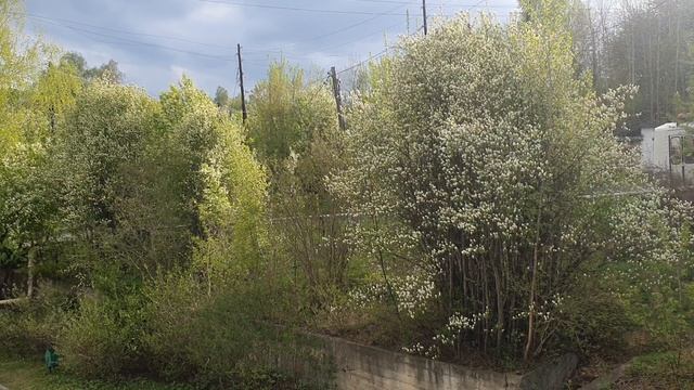 Зачеркнуть бы всю жизнь...