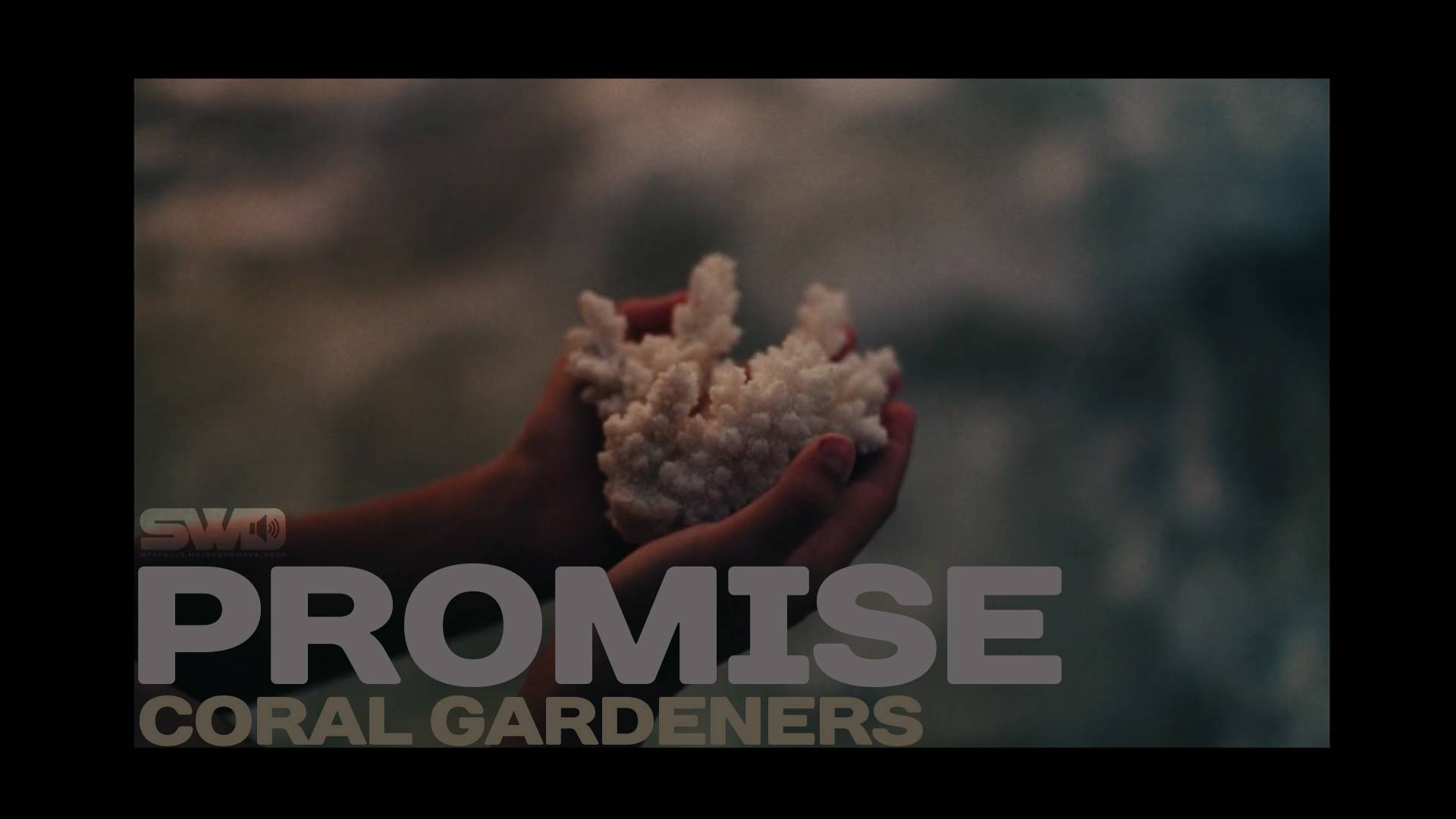 The Promise | rework: PROfan
