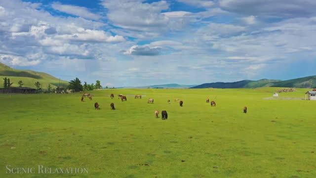 Монголия - Живописный Фильм-релаксация с Успокаивающей Музыкой