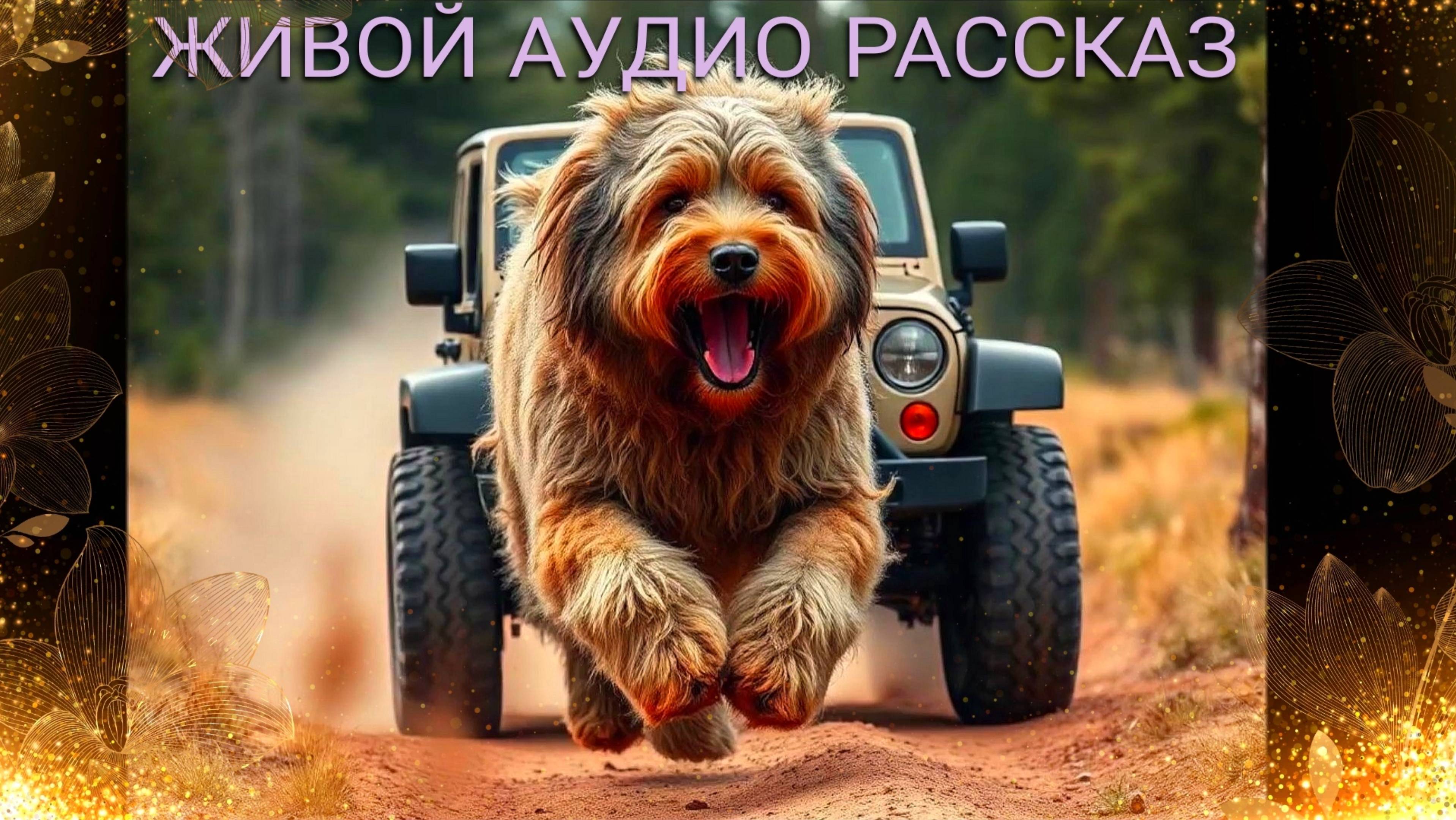 Золотая молодёжь или собака. Из жизни аудио история с прикольными картинками. Видеоклип. Дача.