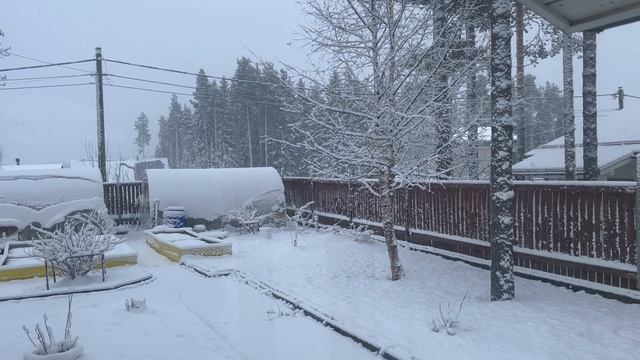 05-05-2025. Вот такая весна в Карелии
