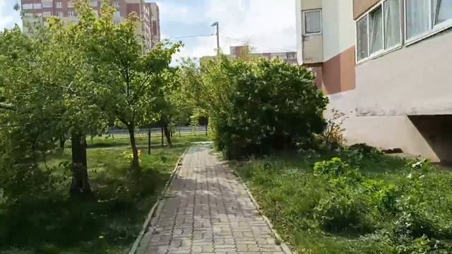квартира Сельма