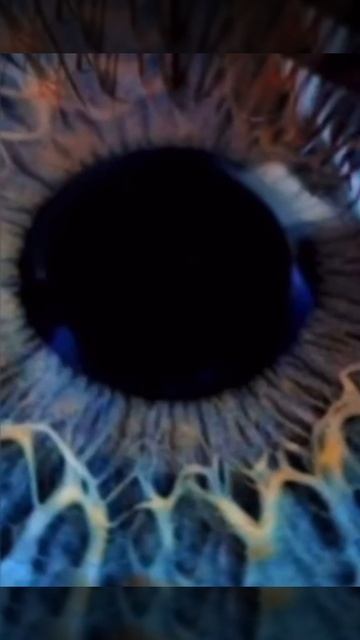 Поразмыслите над этим!