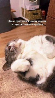 Страшный сон 😁