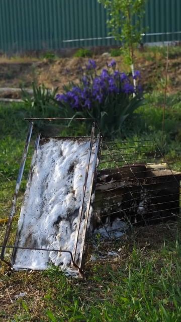В самом разгаре сезон жареного мяса и овощей 🔥