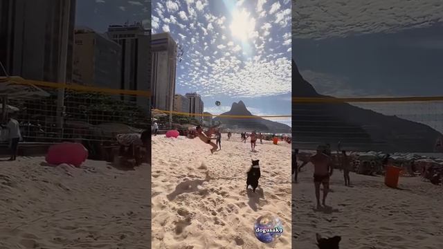 IMG_20250505_071005_317.mp4