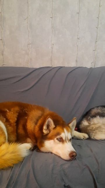 Тунеядцы