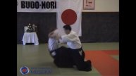 24 Aikido Hanmi Handachi Ai Hanmi Shihonage, Shishiya Sensei 2003