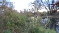 Не ожидал поймать таких в РУЧЬЕ! Рыбалка на спиннинг.