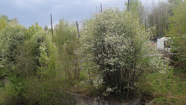 Стою на линии Разлома...