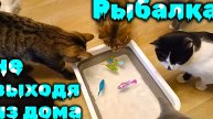 Рыбалка не выходя из дома.
