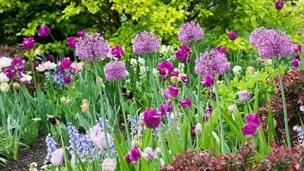 5 мая. Лукин день. Лояльное время.Народный календарь для малышей ✨
