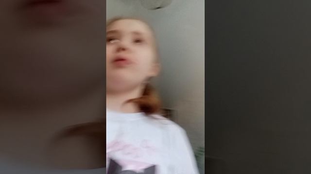 сегодня мы спрашиваем Алису