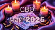 СВО май 2025