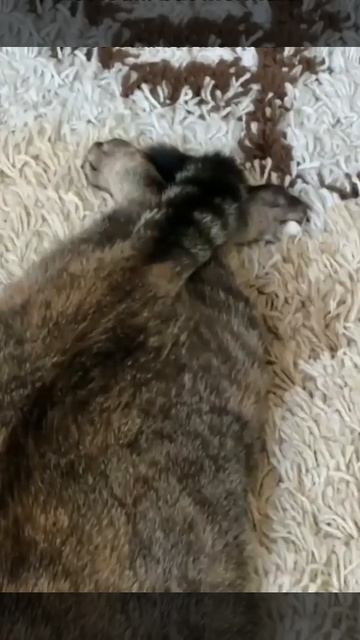 Йог