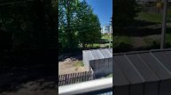 утро в деревне