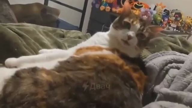 1000039458.mp4
