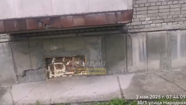 ЖИВОДЁРЫ — УПРАВЛЯЙКИ НОВОСИБИРСКА ЗАМУРОВАЛИ ЗАЖИВО КОШЕК И КОТЯТ В МНОГОКВАРТИРНОМ ДОМЕ